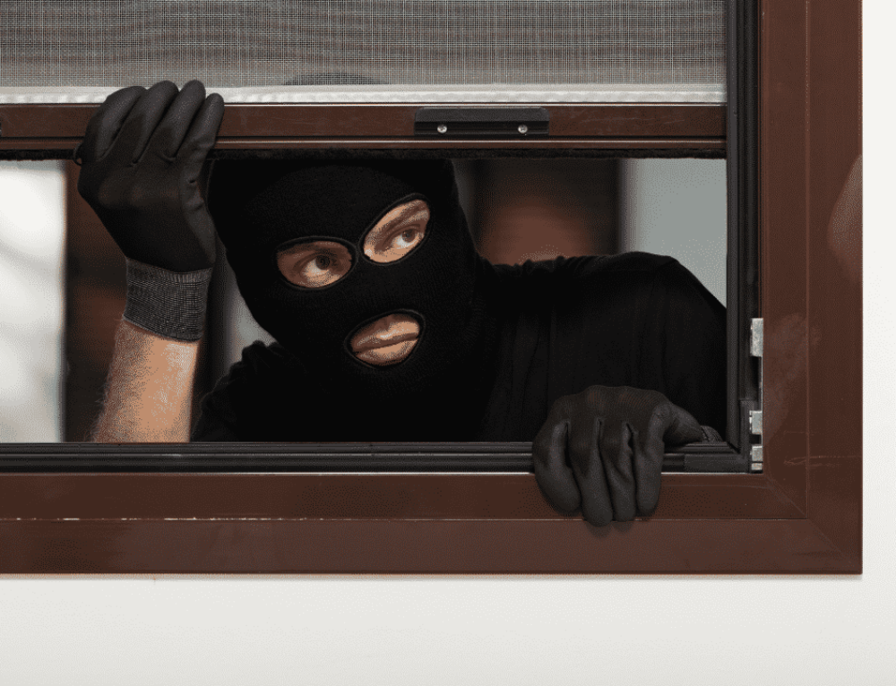 Crimsafe Dog Door Crimsafe & Doggy Doors Securelux