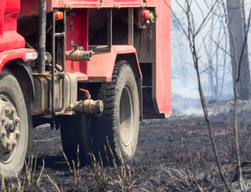 How Crimsafe Screens Can Protect Your Home from Bushfires